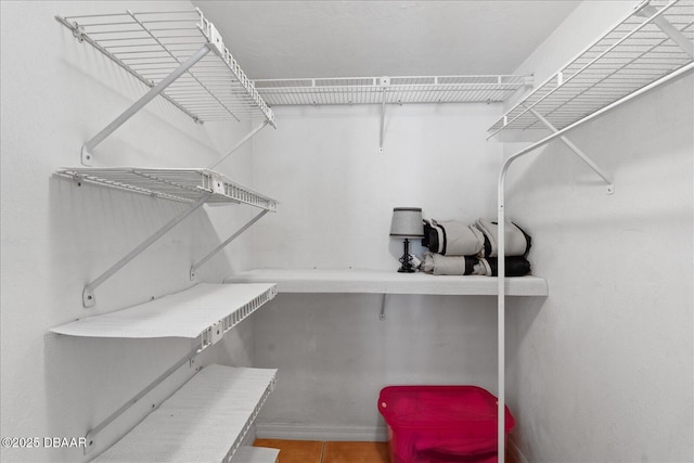 view of walk in closet
