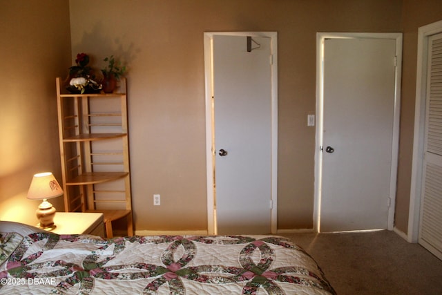 bedroom with a closet and carpet flooring