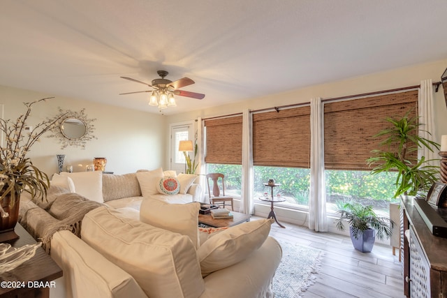 living room featuring ceiling fan and light hardwood / wood-style flooring