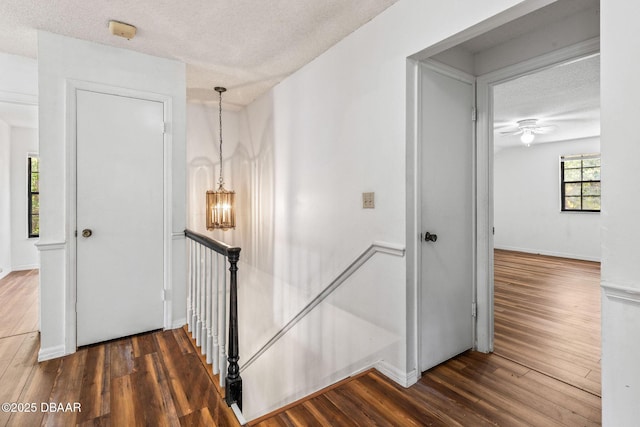 4 Eagle Rock Trl, Ormond Beach, FL 32174 - staircase with a textured ceiling, wood finished floors, a chandelier, ceiling fan, and baseboards