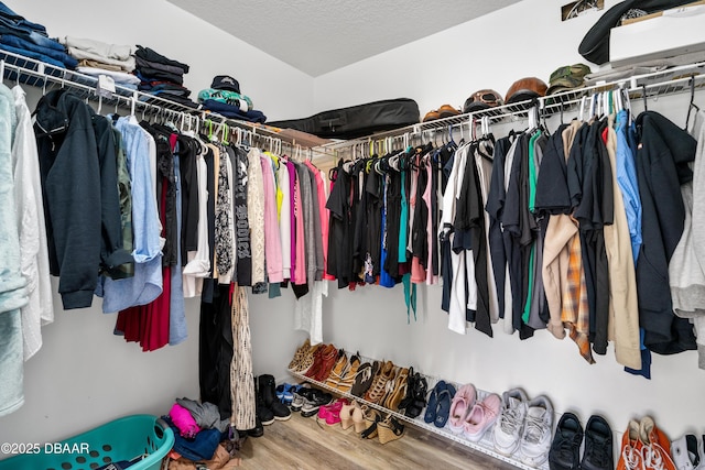 spacious closet with wood finished floors