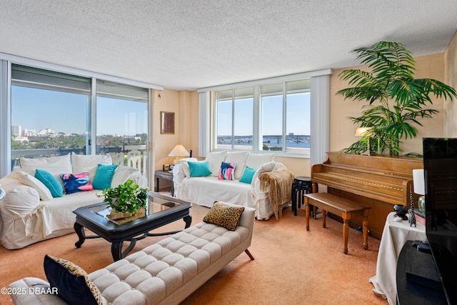 carpeted living room featuring a textured ceiling