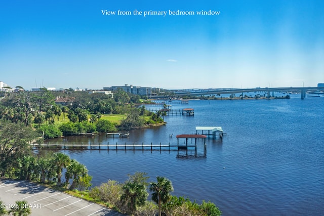 water view featuring a boat dock