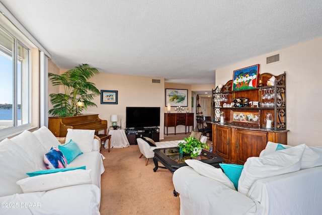 carpeted living room with a textured ceiling