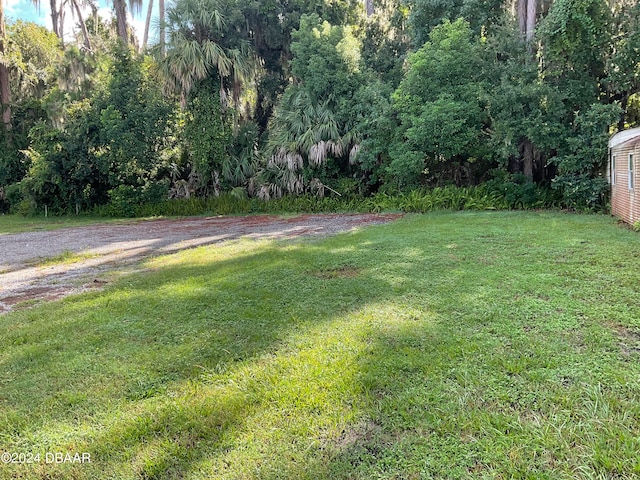 0 Bream Dr, Seville FL, 32190 land for sale