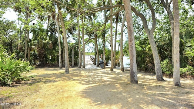 8 Tarpon Ave, Ormond Beach, FL 32176 - view of yard