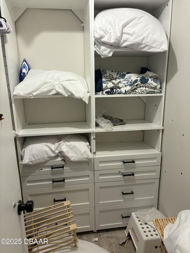 walk in closet featuring hardwood / wood-style flooring