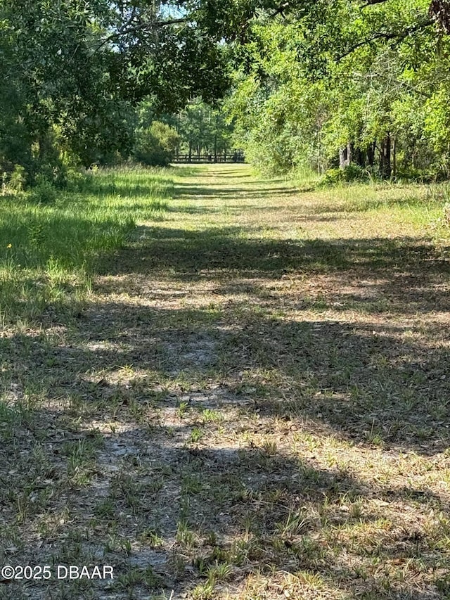 3531 Red Barn Ln, Ormond Beach, FL 32174 - view of yard featuring a wooded view