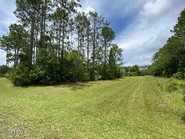 3531 Red Barn Ln, Ormond Beach, FL 32174 - view of grassy yard
