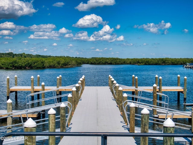 dock area featuring a water view