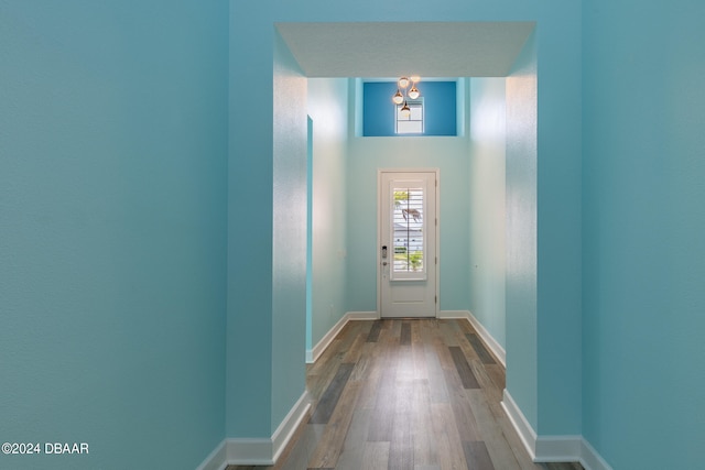 entryway with hardwood / wood-style floors