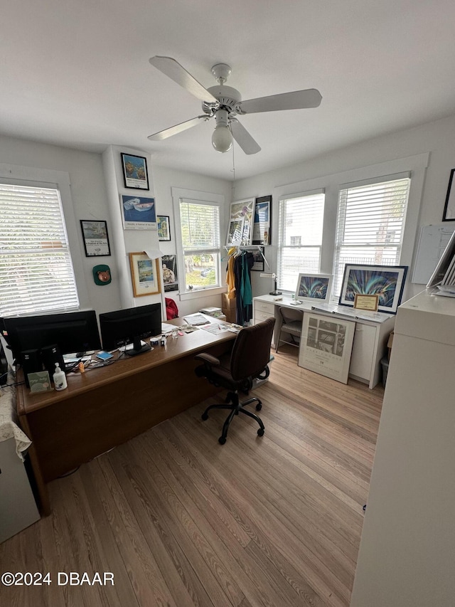 home office with ceiling fan and light hardwood / wood-style flooring