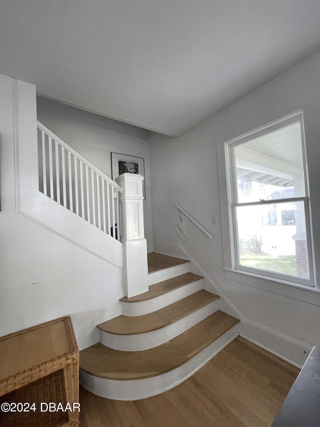 staircase with hardwood / wood-style flooring