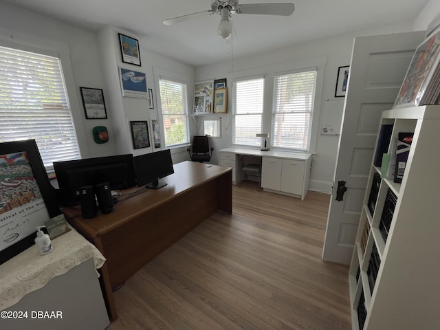 office with ceiling fan and light hardwood / wood-style flooring