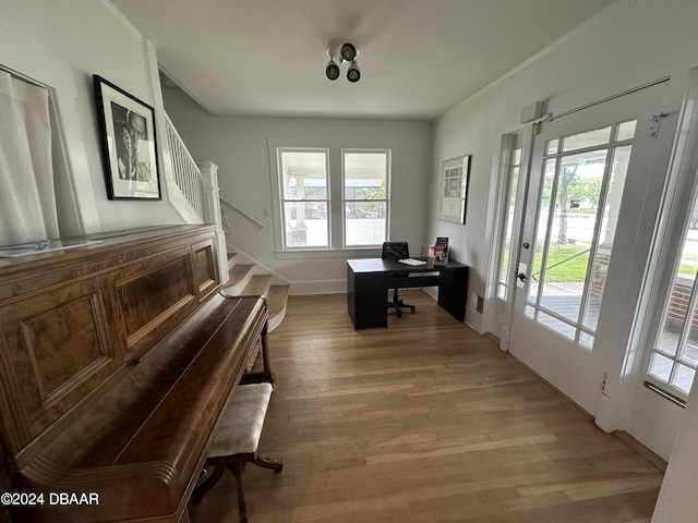 miscellaneous room with plenty of natural light and wood-type flooring