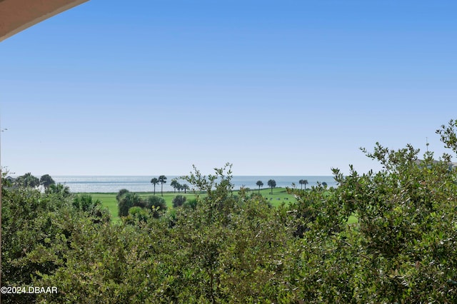 view of nature featuring a water view