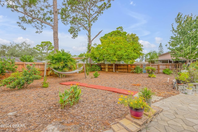 view of yard with a patio