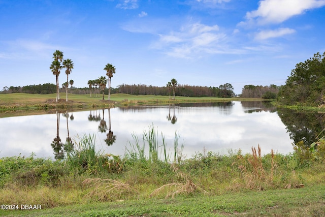 118 Pitching Wedge Dr, Daytona Beach, FL 32124 - water view