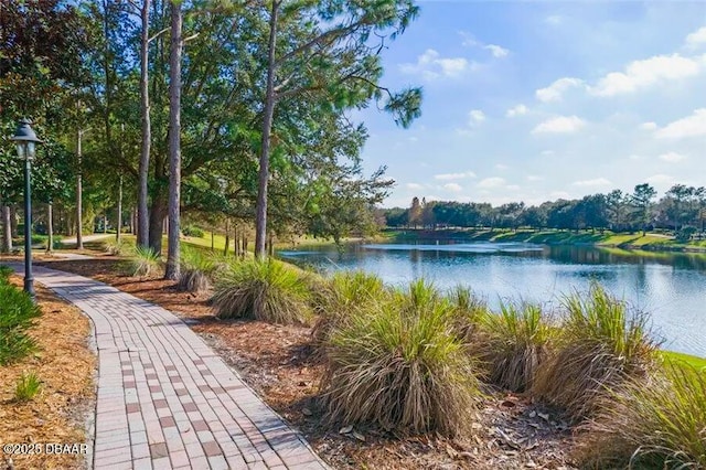 330 Charles Dr, Deland, FL 32724 - water view