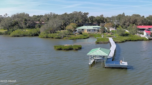 dock area with a water view