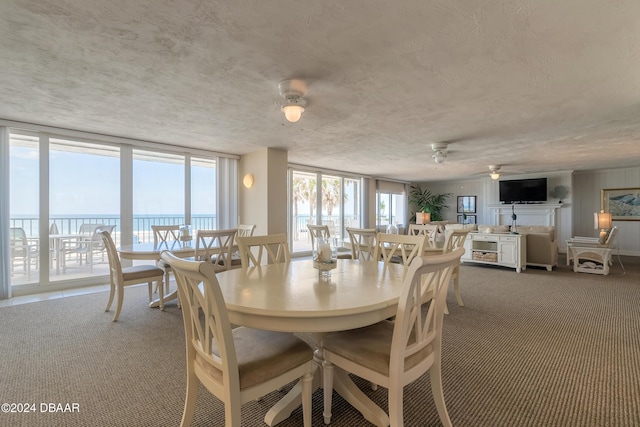4641 S Atlantic Ave Unit 3060, Ponce Inlet, FL 32127 - dining space featuring carpet, a ceiling fan, and a water view