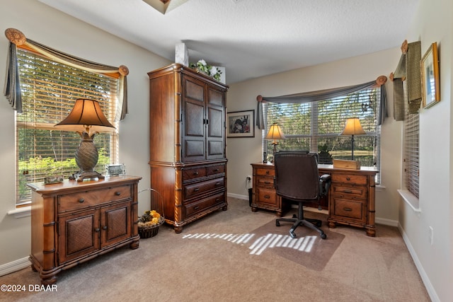 carpeted office space with plenty of natural light and a textured ceiling