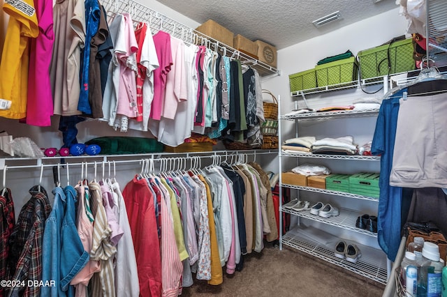 walk in closet featuring carpet floors