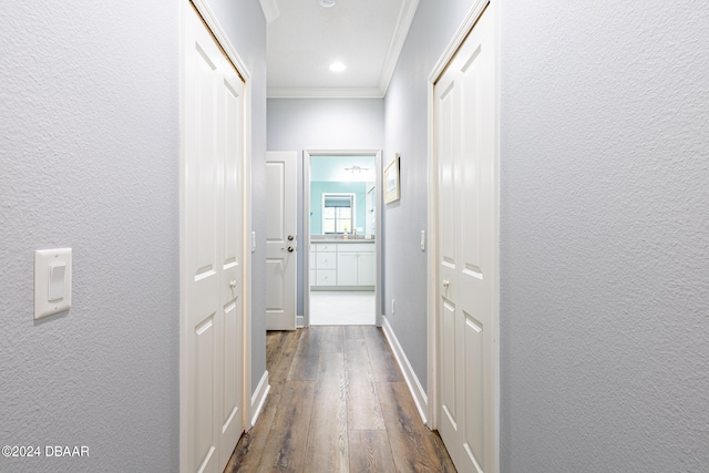 hallway with crown molding and dark hardwood / wood-style flooring