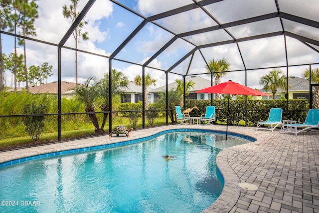 view of pool featuring a lanai and a patio