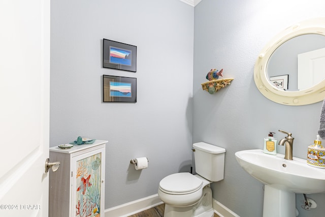 bathroom with sink, hardwood / wood-style flooring, and toilet