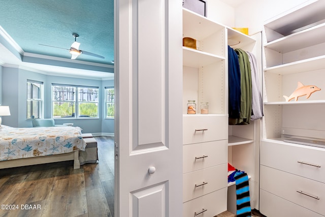 walk in closet featuring a tray ceiling, wood-type flooring, and ceiling fan