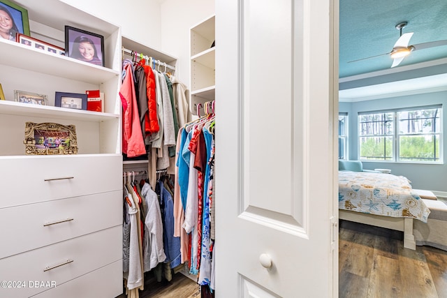 walk in closet featuring hardwood / wood-style flooring