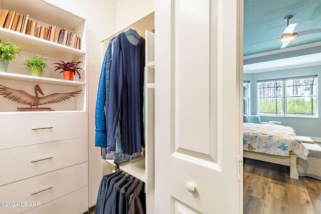 walk in closet featuring hardwood / wood-style flooring