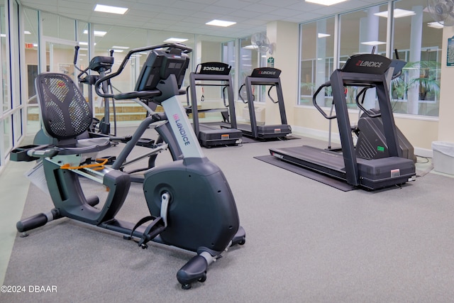 gym with a paneled ceiling, carpet flooring, and plenty of natural light