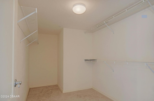 spacious closet with light carpet