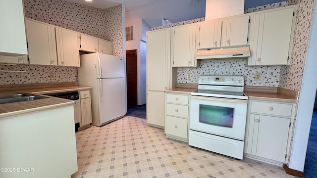 kitchen with white appliances and sink