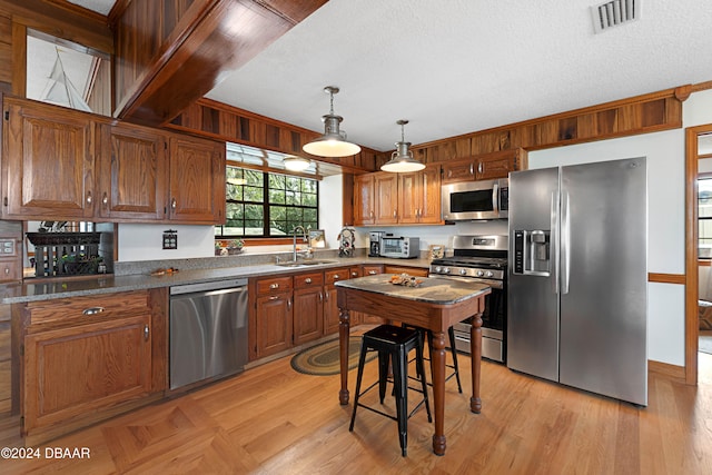 kitchen featuring light hardwood / wood-style floors, sink, stainless steel appliances, and hanging light fixtures