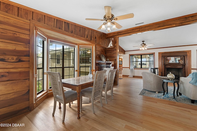 dining area featuring a wealth of natural light, light hardwood / wood-style flooring, ceiling fan, and crown molding