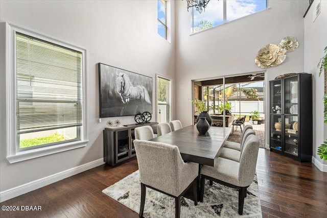 dining area featuring a wealth of natural light and dark hardwood / wood-style floors