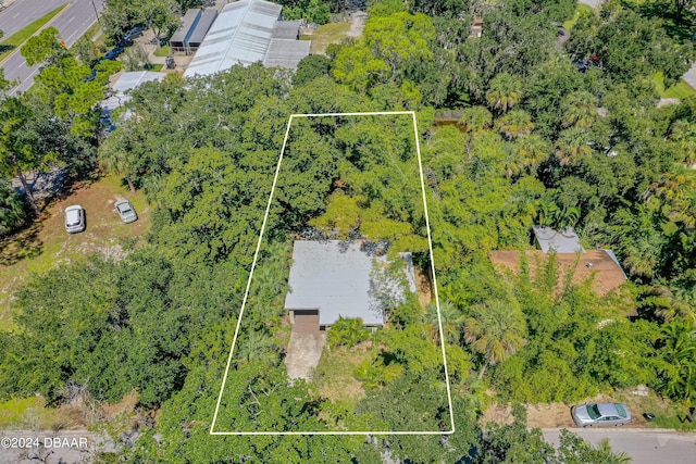 126 Rogers Pl, Port Orange, FL 32127 - photo 26