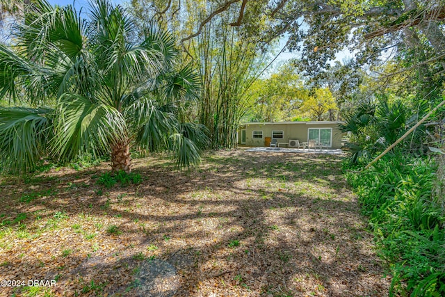 view of yard with a patio