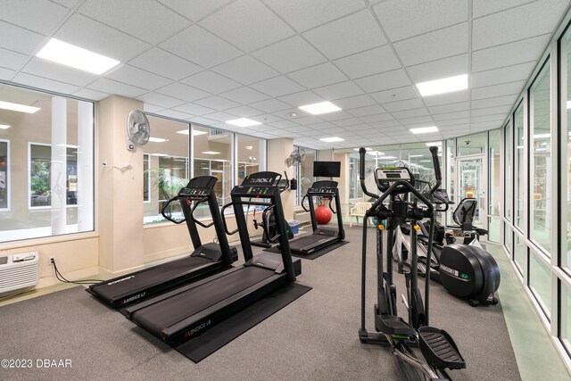 exercise room featuring a wall unit AC, carpet flooring, and a drop ceiling