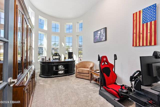 sitting room featuring carpet floors