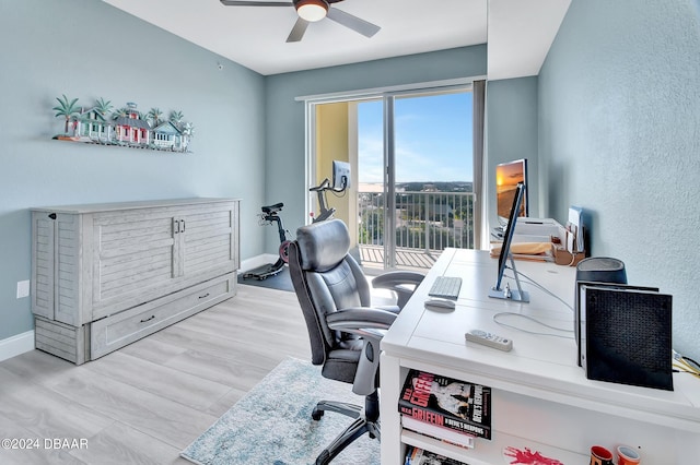 office space featuring a wealth of natural light, ceiling fan, and light wood-type flooring