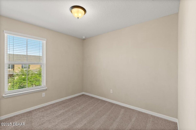 142 Aston Grande Dr, Daytona Beach, FL 32124 - carpeted empty room with plenty of natural light and baseboards