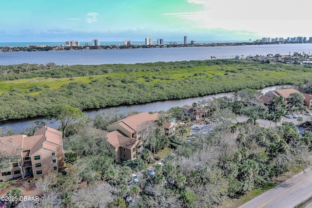 1401 S Palmetto Ave Unit 402, Daytona Beach, FL 32114 - aerial view of property and surrounding area with a large body of water and skyline