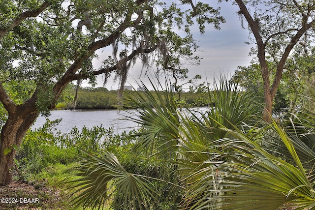 water view