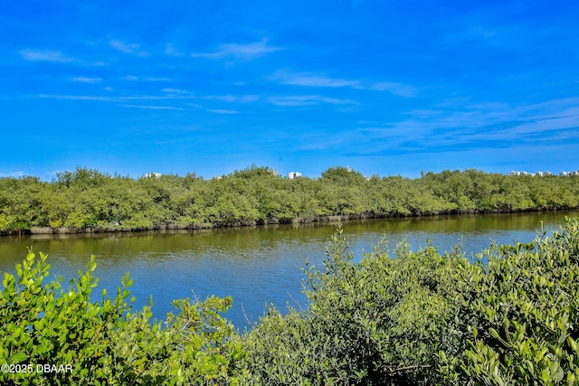 1401 S Palmetto Ave Unit 402, Daytona Beach, FL 32114 - water view with a heavily wooded area