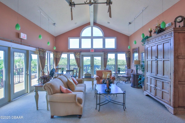 1401 S Palmetto Ave Unit 402, Daytona Beach, FL 32114 - carpeted living area featuring high vaulted ceiling and rail lighting