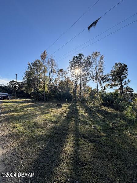 LOT3 NE 307th Ct, Salt Springs FL, 32134 land for sale